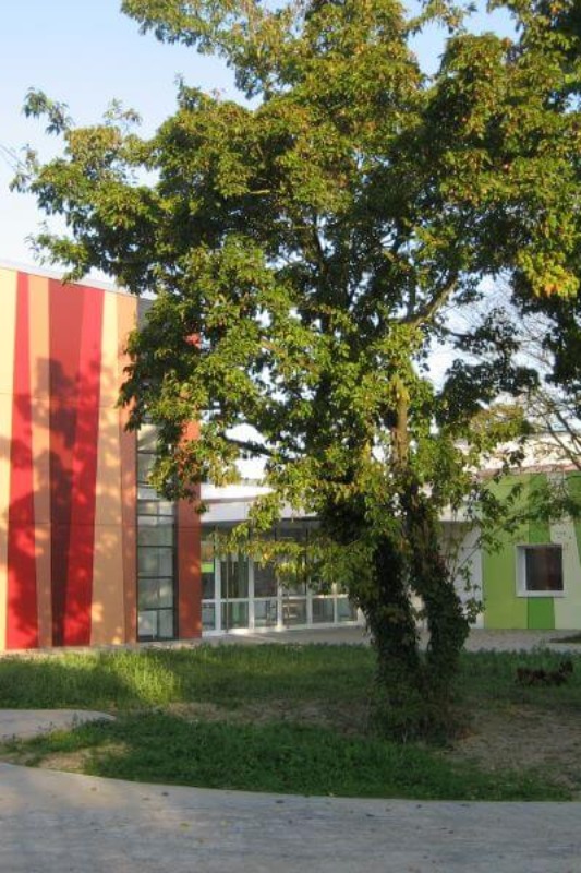 willich 2011